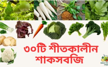 ৩০টি শীতকালীন শাকসবজি – নাম, উপকারিতা ও ক্ষতিকর দিক | Daily Food Sitem