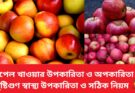 আপেল খাওয়ার উপকারিতা ও অপকারিতা পুষ্টিগুণ স্বাস্থ্য উপকারিতা ও সঠিক নিয়ম