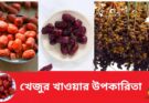 খেজুর খাওয়ার উপকারিতা ও পুষ্টিগুণ শক্তিবর্ধক এই ফল কেন প্রতিদিন খাবেন