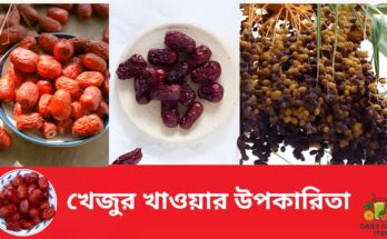 খেজুর খাওয়ার উপকারিতা