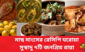 মাছ মাংসের রেসিপি ঘরোয়া সুস্বাদু জনপ্রিয় রান্না